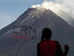 Gunung Merapi Hari Ini 13 September 2026: Aktivitas Vulkanik Belum Menunjukkan Peningkatan